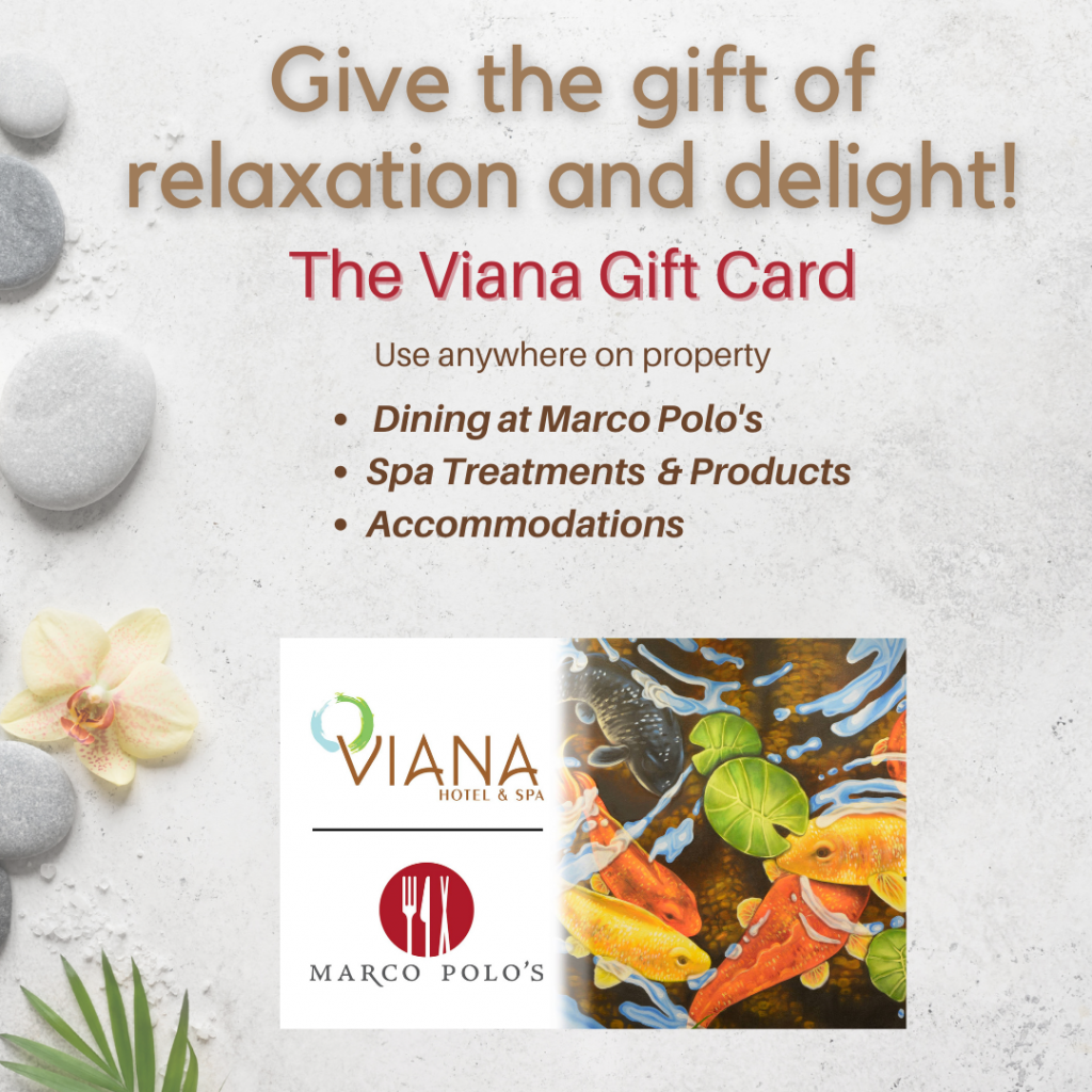 give the gift of relaxation and delight the viana gift card